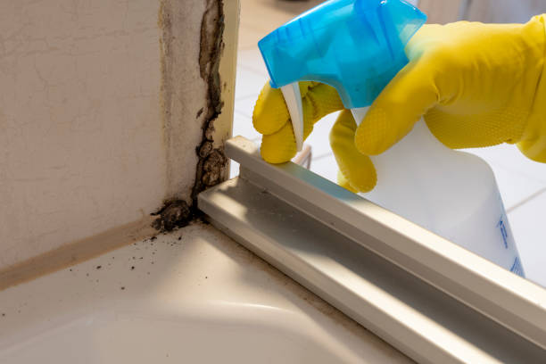 Best Mold Cleaning Services  in Seaside, OR