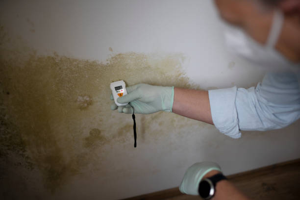 Best Certified Mold Removal  in Seaside, OR