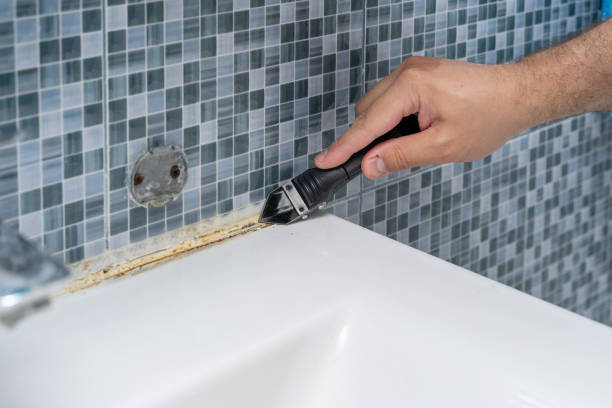 Best Attic Mold Removal  in Seaside, OR