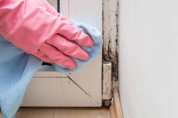 Best Crawl Space Mold Removal  in Seaside, OR